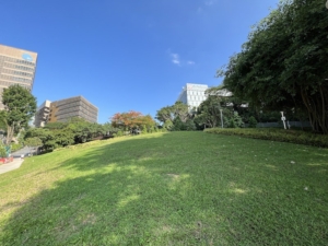 The Hill @One-North Price